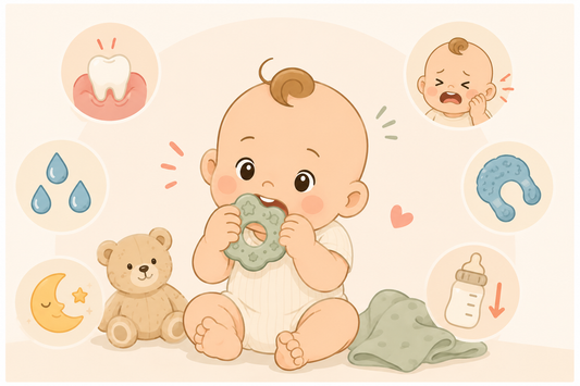 Why Is Teething So Tough? What's Really Going On for Your Baby
